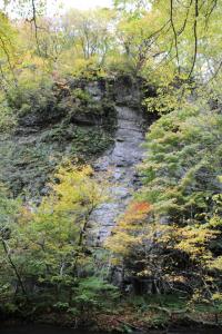 aomori oirase 031