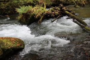 aomori oirase 036