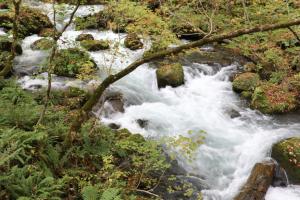 aomori oirase 067