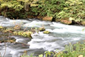 aomori oirase 072