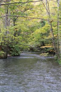 aomori oirase 079