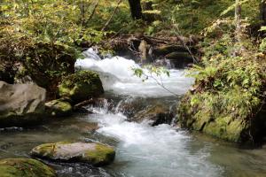 aomori oirase 087