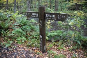 aomori oirase 099