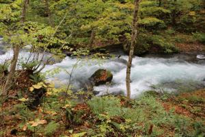 aomori oirase 118