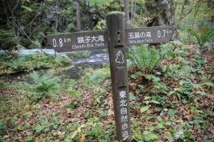 aomori oirase 130