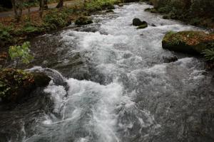 aomori oirase 137