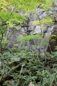 aomori oirase 146