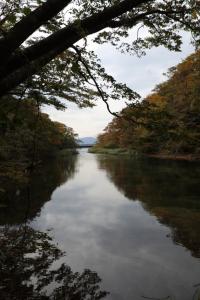 aomori oirase 181