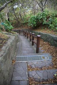 aomori tappi 019