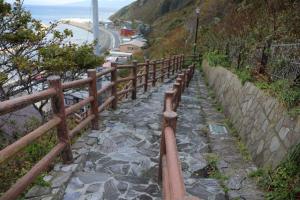 aomori tappi 022