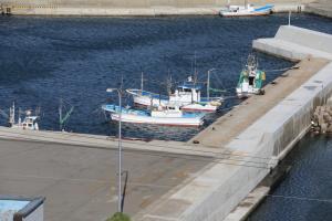 aomori tappi 025