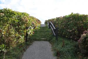aomori tappi 034