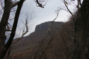 arafune 012