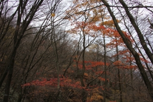 arafune 018