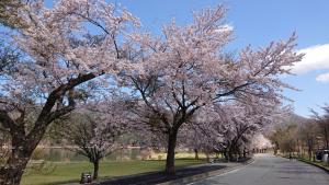 ashiwada 001