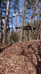 ashiwada 009