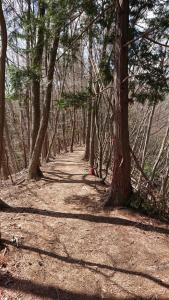 ashiwada 010