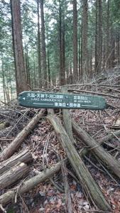 ashiwada 015