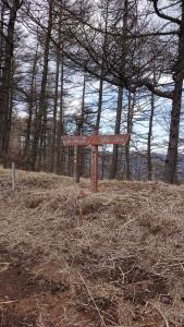 ashiwada 026