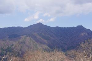 ashiwada 061