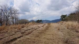 ashiwada 068