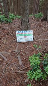 bonoore 040