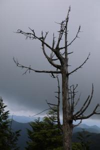 bukosan 014