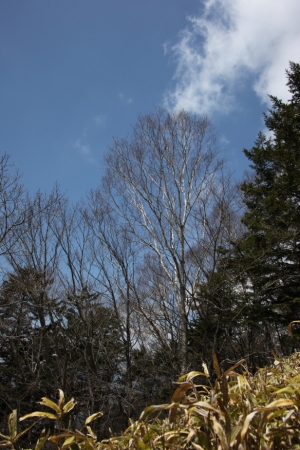 daibosatsu 20012
