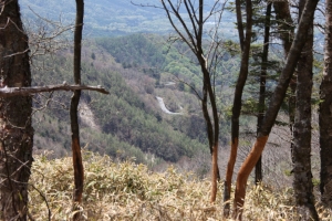 daibosatsu 20016