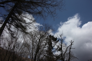 daibosatsu 20024
