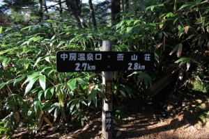 enzanso 0008