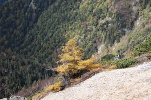 enzanso 0037