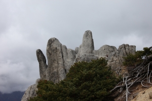 enzanso 0044