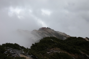 enzanso 0058