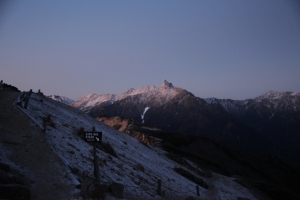 enzanso 0079