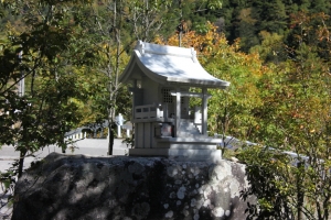 enzanso 0096
