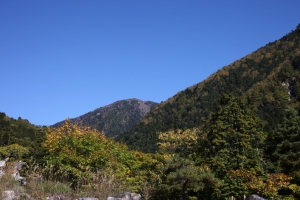enzanso 0097