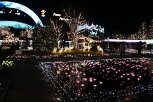 flower illumi 002