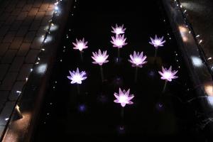 flower illumi 003