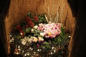 flower illumi 013