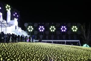 flower illumi 028