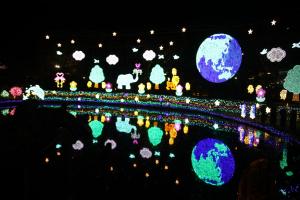 flower illumi 066