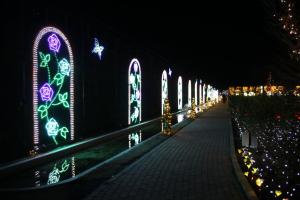 flower illumi 068
