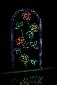 flower illumi 069