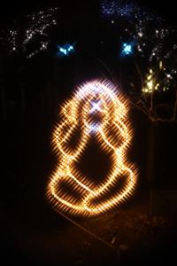 flower illumi 091