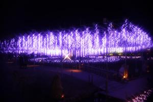 flower illumi 094