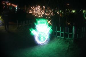 flower illumi 095