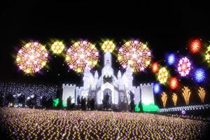 flower illumi 108