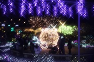 flower illumi 117