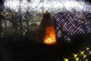 flower illumi 118